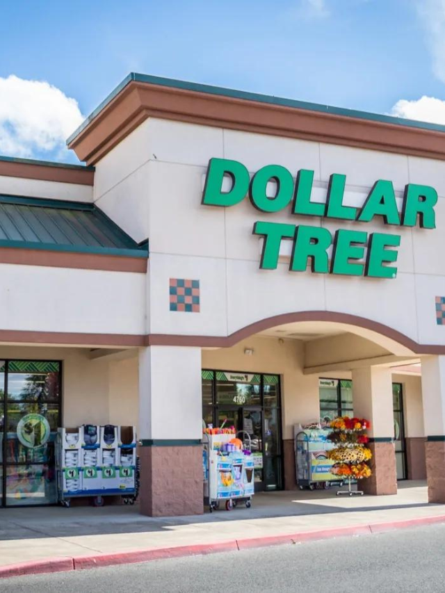 5 Fall Favorites To Buy From The Dollar Tree CodeAvail