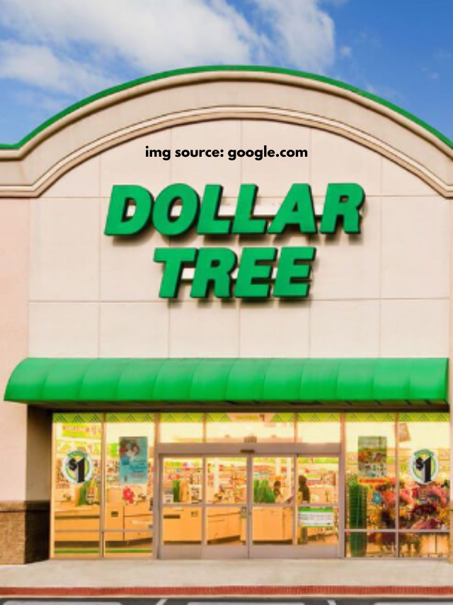 Dollar Tree Products Expensive Brands Don T Want You To Buy In