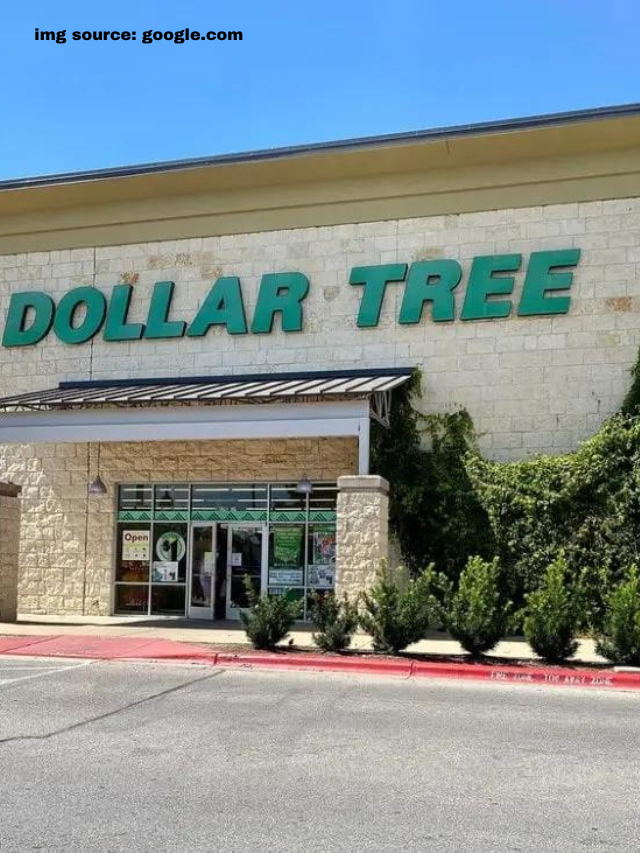 7 Things You Must Buy At Dollar Tree For Graduation Season CodeAvail