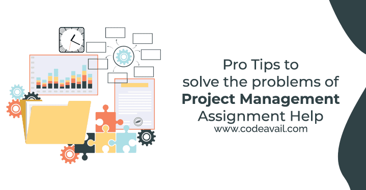 Pro Tips to solve the problems of Project Management Assignment Help