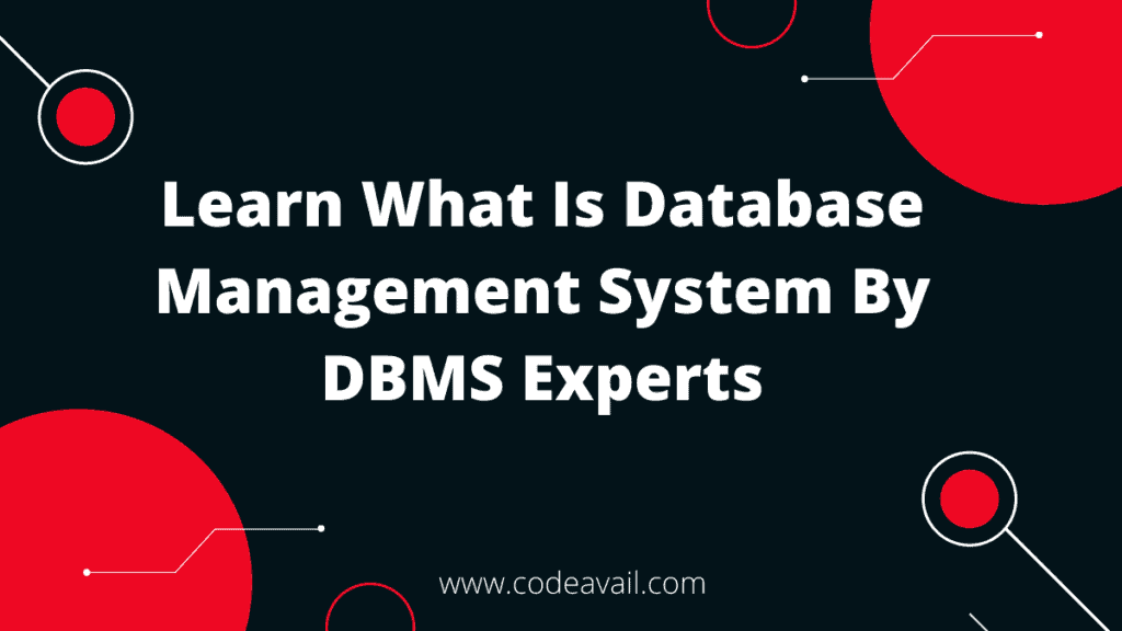 what is database management system