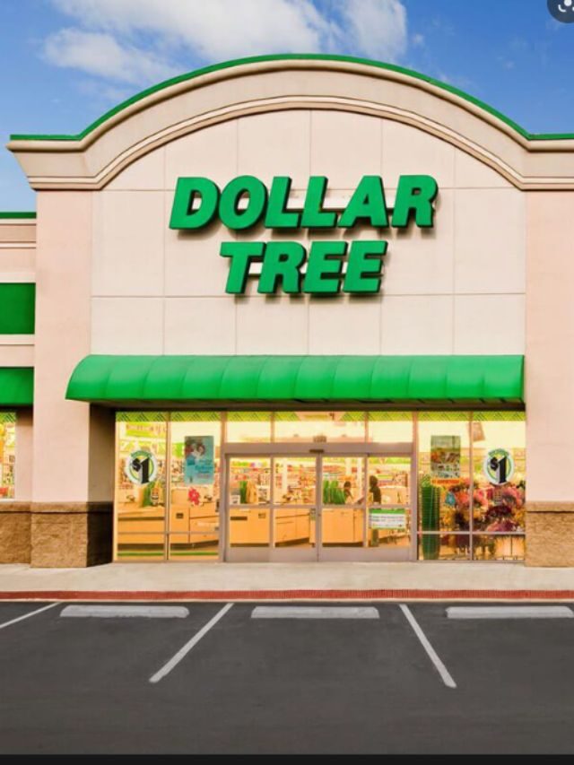 10 Useful Kitchen Items You Can Get at Dollar Tree - CodeAvail