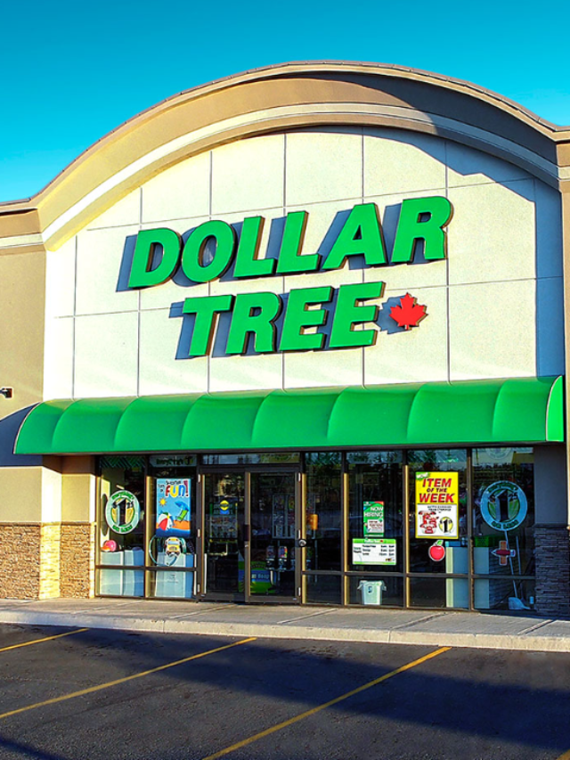 Best 8 Dollar Tree Items To Stock UP ASAP - CodeAvail