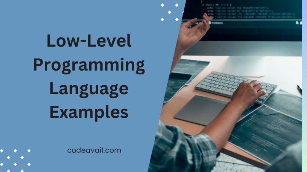 Low-Level Programming Language Examples