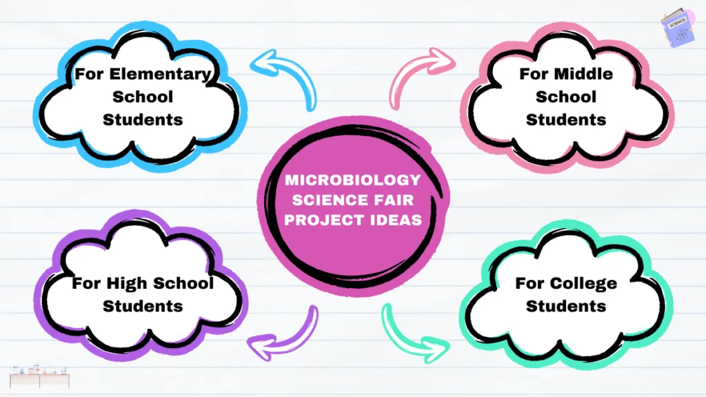 microbiology science fair project ideas suitable for students of various age groups