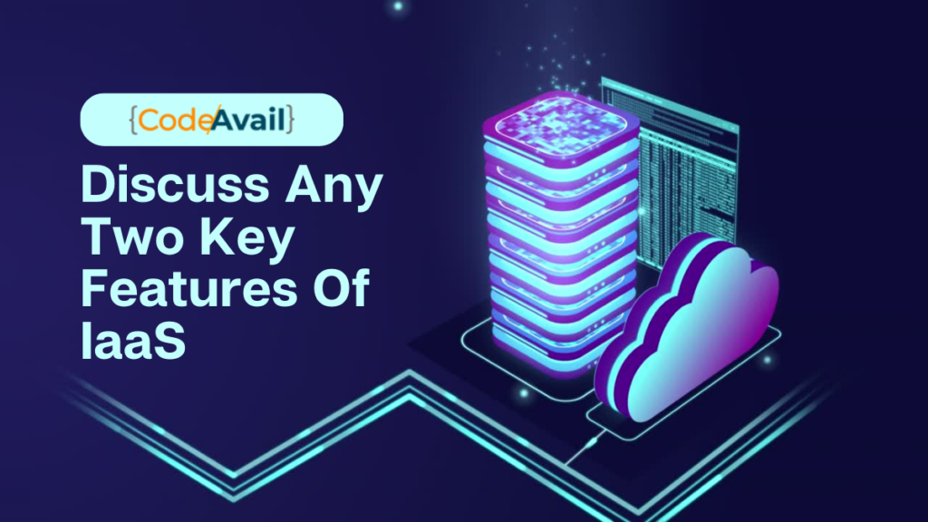 Discuss Any Two Key Features Of IaaS