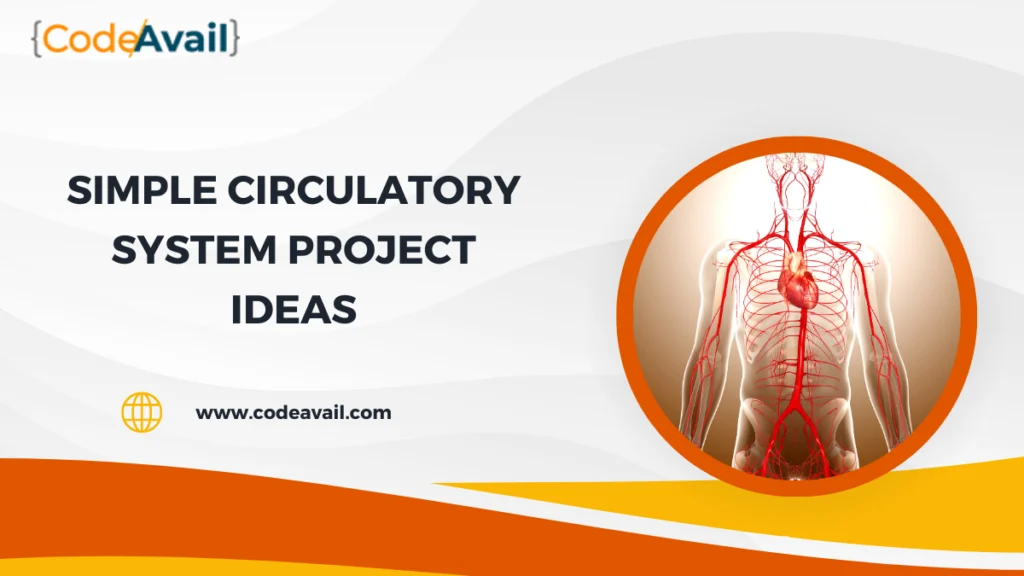 simple circulatory system project ideas